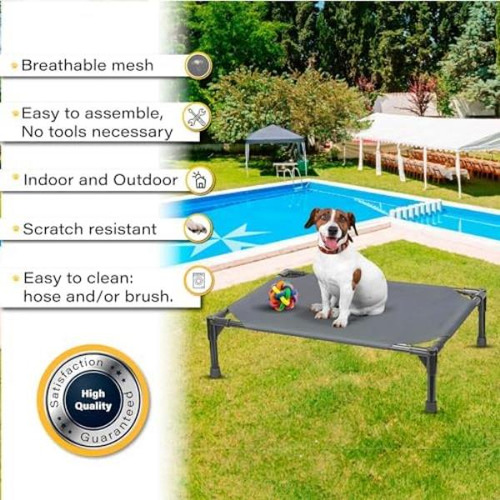 Cama Elevada Para Perros Cama Elevada Para Perros Cama Para