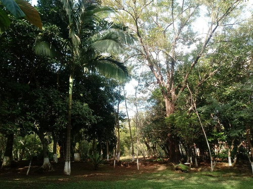 Imagem 19 de 23 de Chácara Com 4 Dormitórios À Venda, 9000 M² Por R$ 750.000,00 - Aparecidinha - Santa Terezinha De Itaipu/pr - Ch0024