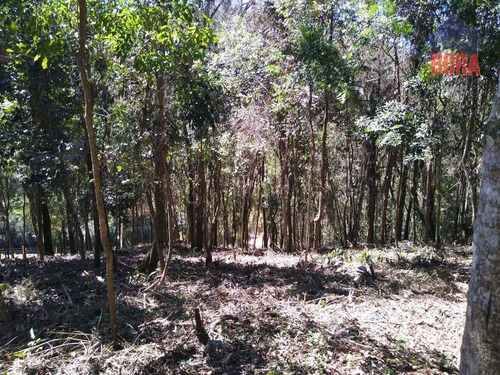 Imagem 2 de 6 de Terreno À Venda, 1365 M² Por R$ 60.000 - Mato Dentro - Mairiporã/sp - Te0308
