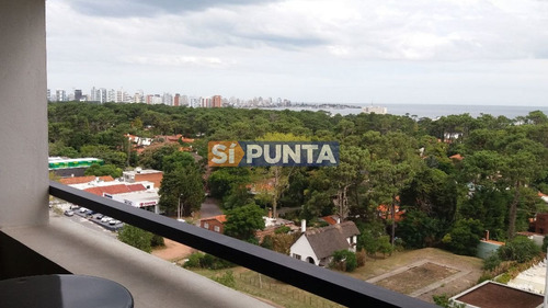 Imagen 11 de 30 de Apartamento En Venta - Roosevelt