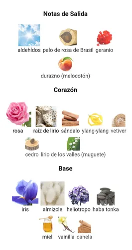 Perfume ombre rose para dama sale
