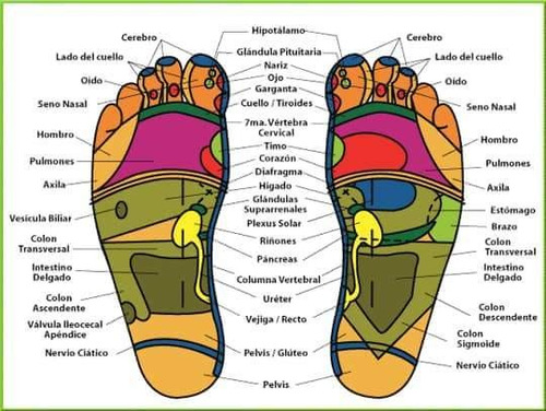 Plantilla Soporte Magnéticas Reflexología Terapia Imanes