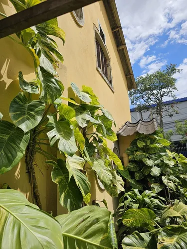 Oportunidade Única No Tucuruvi - Casa Ampla Com Terreno Raro 770 Mil Reais (1km Do Metrô)