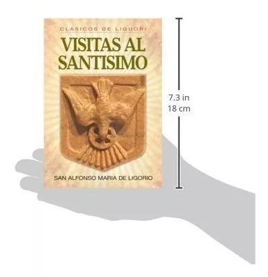 Libro de visitas (Spanish Edition)