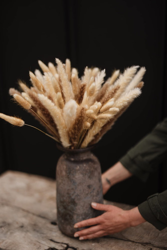 30 Pampas Hierba Seca Natural +60 Hierba Natural Cola Conejo