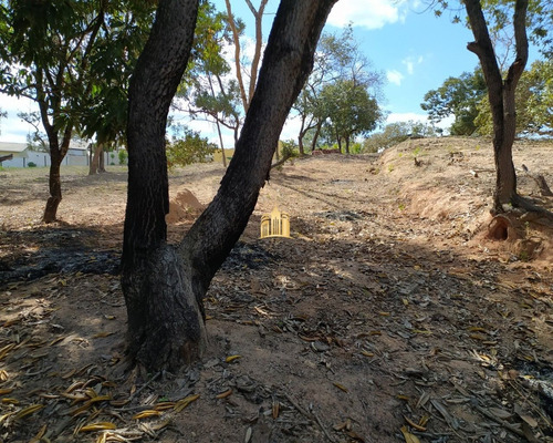 Imagem 5 de 30 de Terreno No Bairro Cidade Jardim - Esmeraldas - Te00295 - 68404585