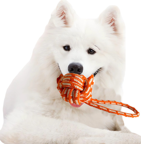 Juguete Perro Cuerda Pelota Perros Juguete Mascota Pelota 