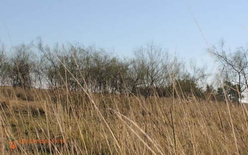 Imagen 14 de 23 de Oportunidad Campo En Zavalla