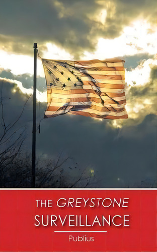 The Greystone Surveillance, De Publius. Editorial Piscataqua Press, Tapa Blanda En Inglés
