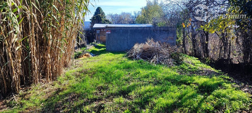 Sitio En Venta A 2 Cuadras Del Centro De Pemuco