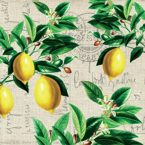 2 Guardanapos Para Decoupage Ambiente Limão Siciliano