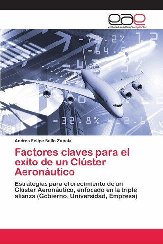 Libro Factores Claves Para El Exito De Un Clúster Aeron Lcm2