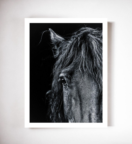 Cuadro Modernos Caballo Negro Marco Y Vidrio Incluido 30x40