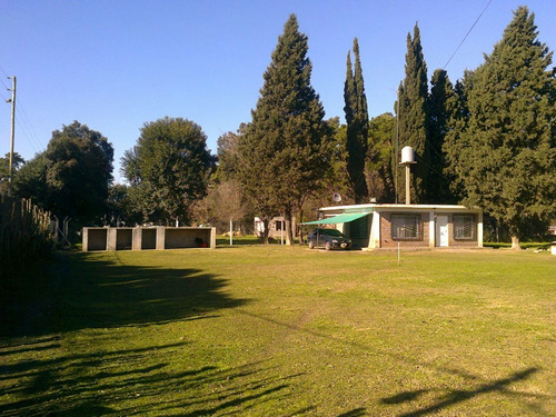 Imagen 1 de 8 de Pontevedra: Casa 3 Amb. C/gran Parque 1200 M2