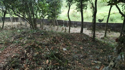 Terreno À Venda, 1300 M² Por R$ 540.000,00 - Caputera - Arujá/sp - Te0025