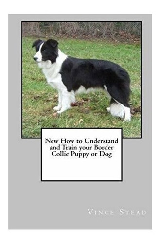 New How To Understand And Train Your Border Collie Puppy Or
