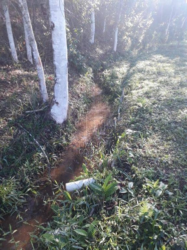 Imagem 19 de 27 de Chácara Com 2 Dormitórios À Venda, 3000 M² Por R$ 375.000,00 - Igaratá - Igaratá/sp - Ch0023