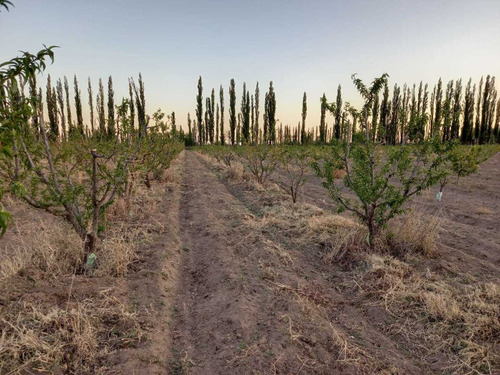 Imagen 5 de 6 de Unica Oportunidad!excelente Finca De 31 Has,s.r.l Y Marca Registrada En Productos Alimenticios