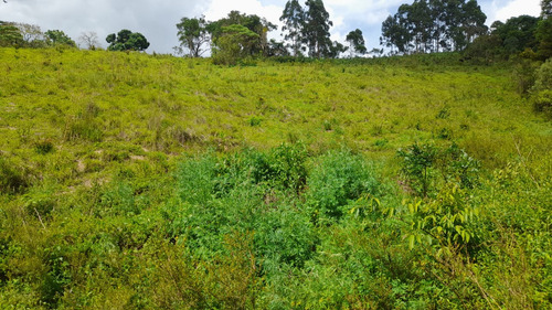 Vende-se Terreno De 26.000 M Com Nascente Dentro Da Propried