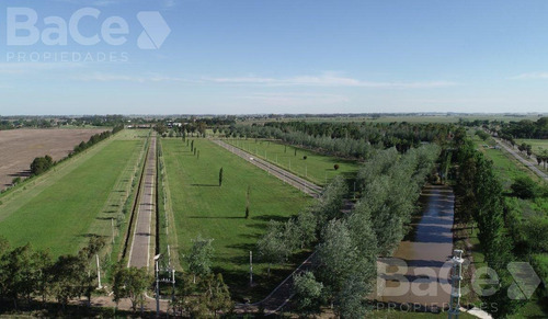 Imagen 6 de 11 de Venta Terreno En Pinares Del Sur - Oportunidad