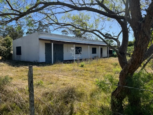 Campo 10 Has Y Media Con Casa Y Manantial Con Agua Permante. Consulte!!!!!!!!!