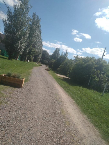 Imagen 7 de 10 de Terreno - Pilar