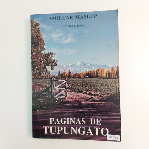 Páginas De Tupungato - Amilcar Maslup