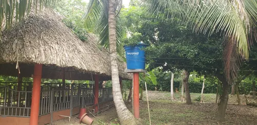 Finca En Venta A 15 Minutos Del Centro De Cerete