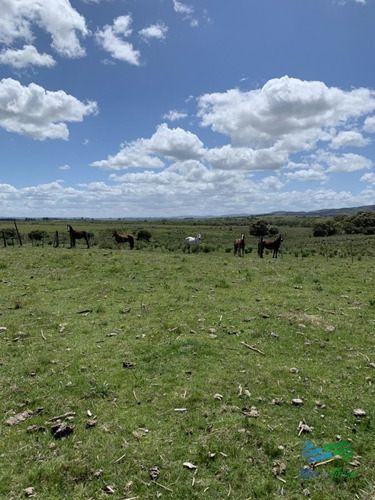 Imagen 2 de 27 de 36 Has Con Casa A 30 Minutos De Punta - Zona Rural Zona Rural