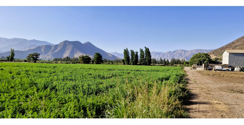 En Venta Terreno Agrícola De 4,5 Hectáreas, En Catemu.
