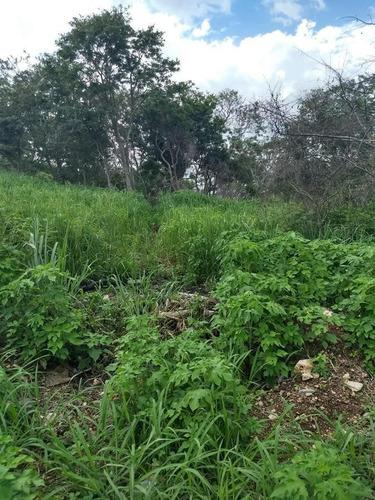 Imagen 9 de 14 de Terreno En Residencial San Lorenzo En Primera Fila