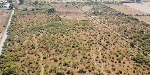 Campo Para Inversión En San Carlos