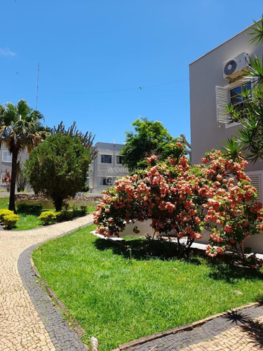 Imagem 18 de 20 de Apartamento À Venda Em Jardim Baronesa - Ap002724