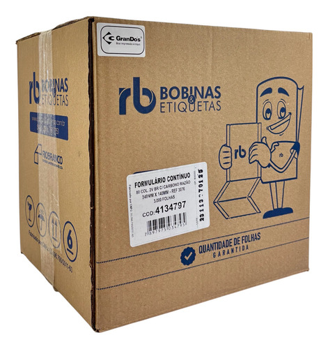Formulário Contínuo Razão 2 Vias Rio Branco Com Carbono