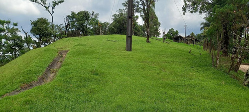 Imagem 6 de 15 de Chácara Para Venda Em São José Dos Pinhais, Área Rural De São José Dos Pinhais - Cha6607_1-2422868