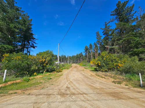 Hacienda Algarrobo, 5000 M2,portería, Rol, Red De Luz Y Agua