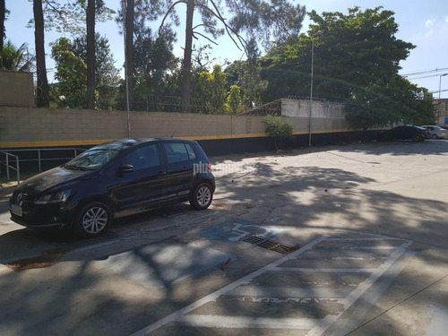 Oportunidade Única. - Pp19198