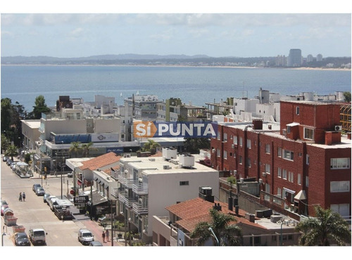 Imagen 9 de 30 de Apartamento En Alquiler Anual Zona De Península !!!