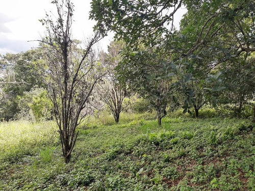 Chácara Com 4 Dormitórios À Venda, 5000 M² Por R$ 500.000,00 - Bom Jardim - Itupeva/sp - Ch0080