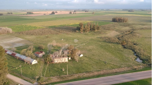 Campo Agrícola Ganadero De 25 Hás Sobre Ruta 7 Km 74 (tala, Canelones)