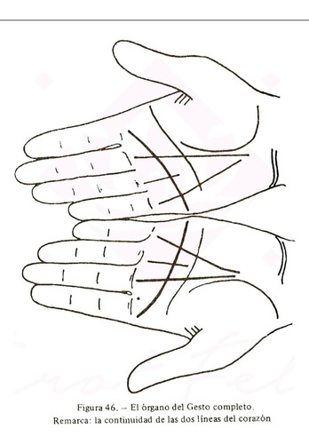 Libro Quiromancia Practica Como Leer Las Lineas De La Mano