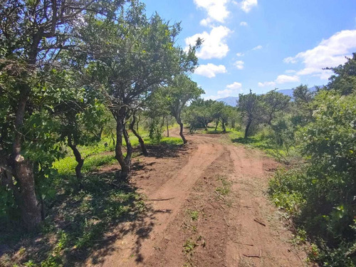 Imagen 12 de 14 de Preventa De Lotes De 1000m2 Y 1250m2 En San Luis