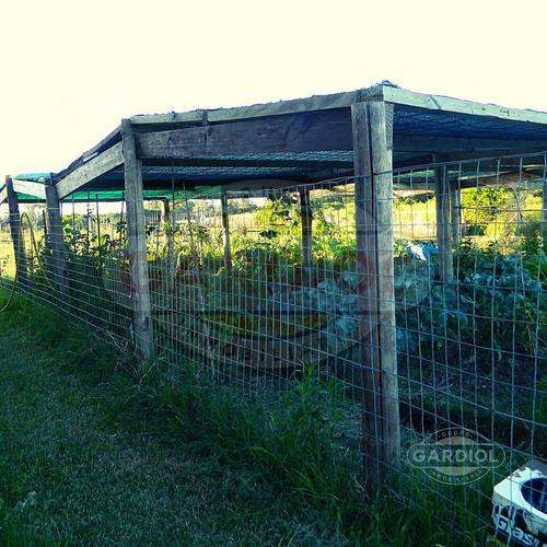 Venta De Chacra En Ruta 1, Riachuelo, Colonia Del Sacramento