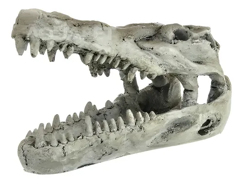 Nomoypet Enfeite Para Aquários Crânio De Crocodilo Ns-60