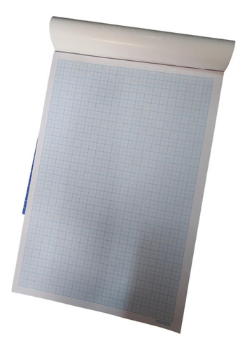 Block Papel Milimetrado 50 Hojas Proarte 22x 32cms.