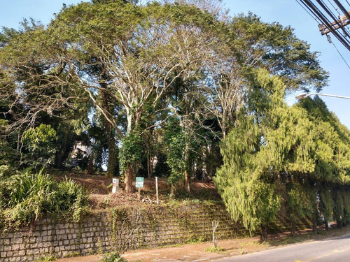 Imagem 7 de 14 de Mini Chácara No Bairro Glória|estuda Permuta| 4.328 M² - Sa00773 - 34103277