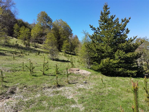 Terreno 5.000 M2 En Condominio La Helvetia, Malalcahuello