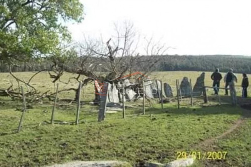 Campo Ganadero En Venta Rocha, Zona De Castillos- Ref: 26231