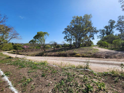 Terreno - Parana