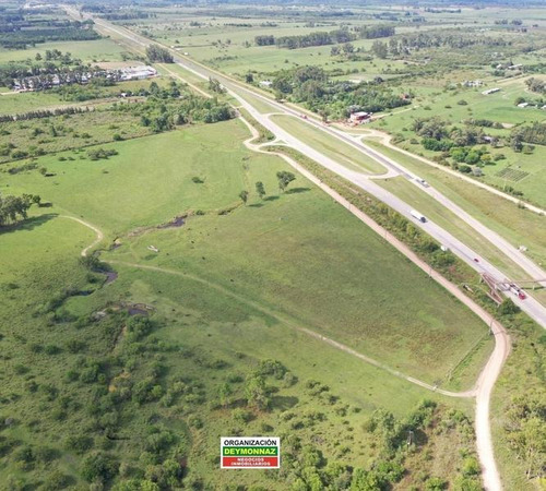 Imagen 18 de 21 de 3,3 Has Sobre Autopista Ruta 14 Colon Entre Ríos